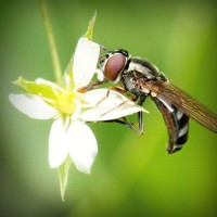 /album/maillothelen/photolia-a02-jpg/