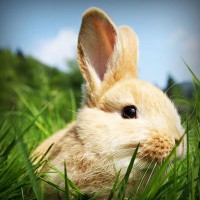 /album/maillothelen/photolia-a03-jpg/