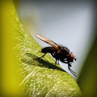 /album/maillothelen/photolia-a04-jpg/