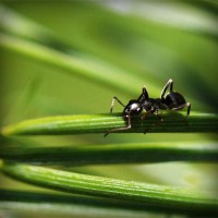 /album/maillothelen/photolia-a05-jpg/