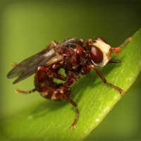 /album/maillothelen/photolia-a06-jpg/