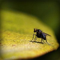 /album/maillothelen/photolia-a07-jpg/