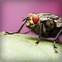 /album/maillothelen/photolia-a08-jpg/